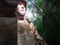 Живі і мертві #сокіл #україна #війна #soldier #military #14осб #віршпровійну