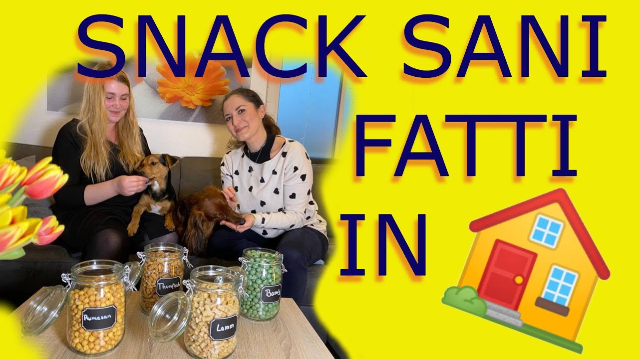 SNACK per CANI 🐶 SOLO 3 INGREDIENTI 🇩🇪 SEMPLICISSIMI - con @kreativliebe1