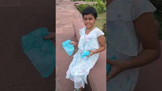 Chitra In Agra . Itamaudaula Ka Makbara . Baby Taj Mahal