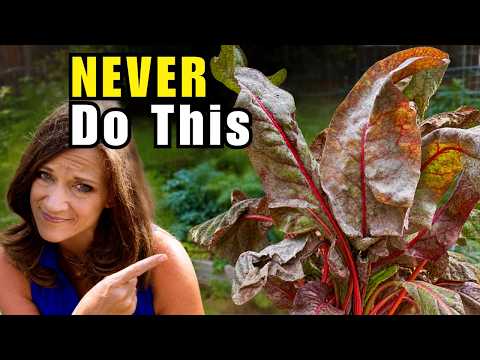 5 Fall Garden Mistakes You Need to Fix NOW