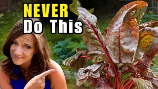 5 Fall Garden Mistakes You Need to Fix NOW