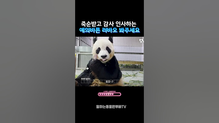 예의바른 러바오♡