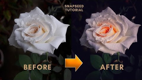How To Edit Photos and Apply Filters for Instagram On Mobile |Snapseed Tutorial |Android |iPhone