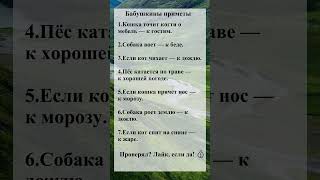 Бабушкины приметы #34 #Приметы #Суеверия #Советы #Поверья #shorts