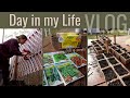 Vlog prepping my kitchen garden for spring  new seeds  repairs  small space garden tourplan