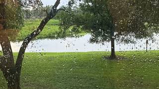 Yok Olmak Öyle Kolay Değil Resimi