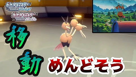 ドードリオ