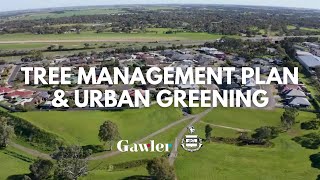 Tree Management Plan and Urban Greening Strategy 🌳