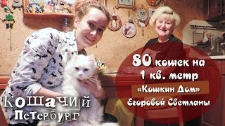 Выпуск №076 "80 кошек на 1 кв.метр. Кошачий Петербург." Выпуск №076 "80 кошек на 1 кв.метр. Кошачий Петербург."