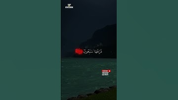قرآن_كريم #ياسر_الدوسري #القرآن_الكريم # quran# #محمد_اللحيدان#تلاوةخاشعة #تلاوة #قرآن#اجر_لي_ولكم