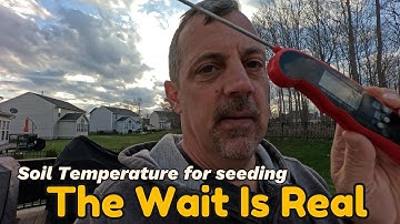 The BEST Temperatures for Seeding Your Lawn!