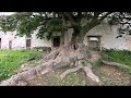 Visitando  la " HACIENDA DE MONTERO", Apaxco,  Estado de México.