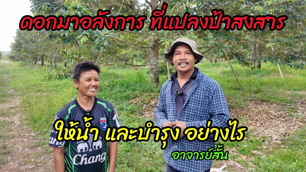 ชวนคุยพี่โอ๋ แนวทางการดูแล ดอกและผล หลายรุ่น ที่แปลงป้าสงสาร | อาจารย์สั้น
