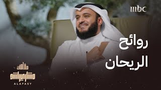 مشاري العفاسي ينشد 