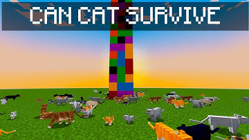 Can a cat survive a 320 block fall?