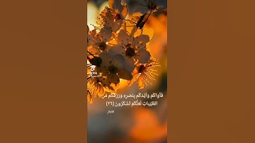 تلاوة مباركة للشيخ سعود الشريم #quran