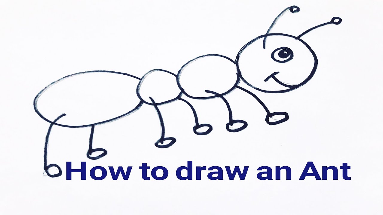 How to draw an Ant for kids-كيفية رسم نملة للأطفال ＾▽＾