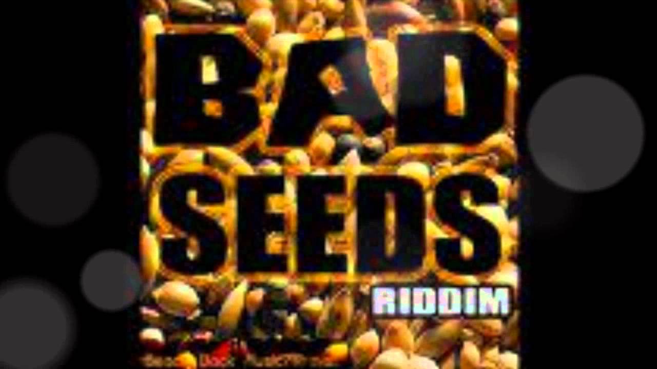 BAD SEEDZ RIDDIM PREVIEW 2012.wmv - YouTube