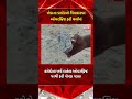 Kheda ના Dakor નો વિવાદાસ્પદ ઓવરબ્રિજ ફરી ચર્ચામાં | Gujarat First
