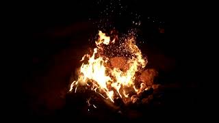 Campfire stock video 4k copyright free