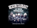 Sexion dassaut  le bon son ft hugo tsr