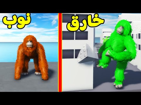 سولوم قرد ليوم كامل لعبة Roblox