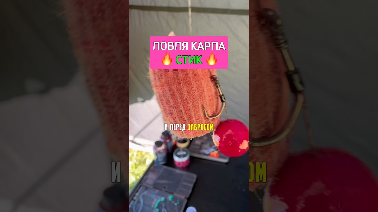 За сколько можно делать стики на карпа? 