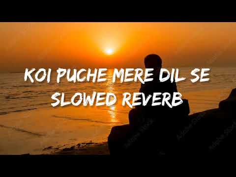 KOI PUCHE MERE DIL SE  SLOWED REVERB  DAILY MUSIC
