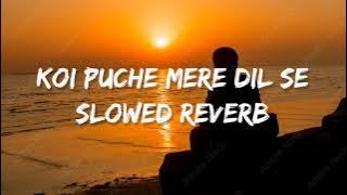 KOI PUCHE MERE DIL SE || SLOWED REVERB || DAILY MUSIC