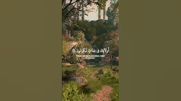 اكتب شيء تؤجر عليه ❤😴│ Surah Al-Ma'arij 34-35 سورة المعارج ٣٤-٣٥