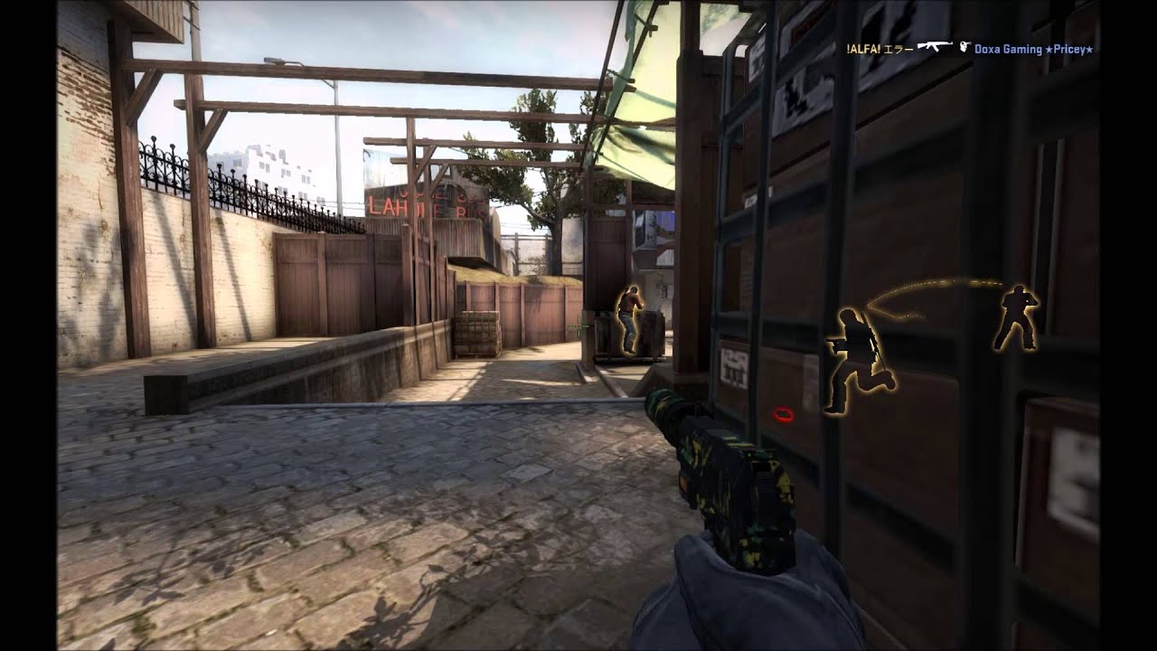 CS:GO - Funniest Ninja Ever? [For Sparkles]