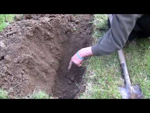 How to make the Double Dig vegetable Bed!