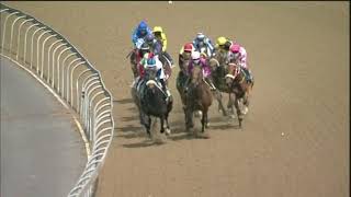 Vidéo de la course PMU PRIX TRACK & BALL GAMING FM 88 HANDICAP