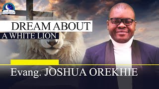 Watch White Lion Dream video