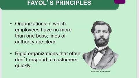 BUS 101  Ch  8 Structuring Organizations for Today