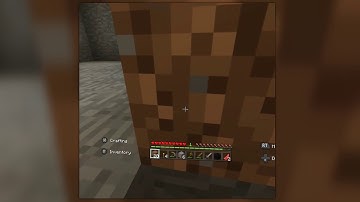 Minecraft VR- Oculus Go