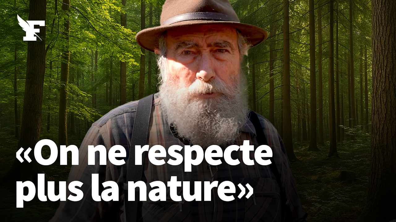 «La forêt n’est plus protégée»: le cri d'alarme d'un ancien garde-forestier