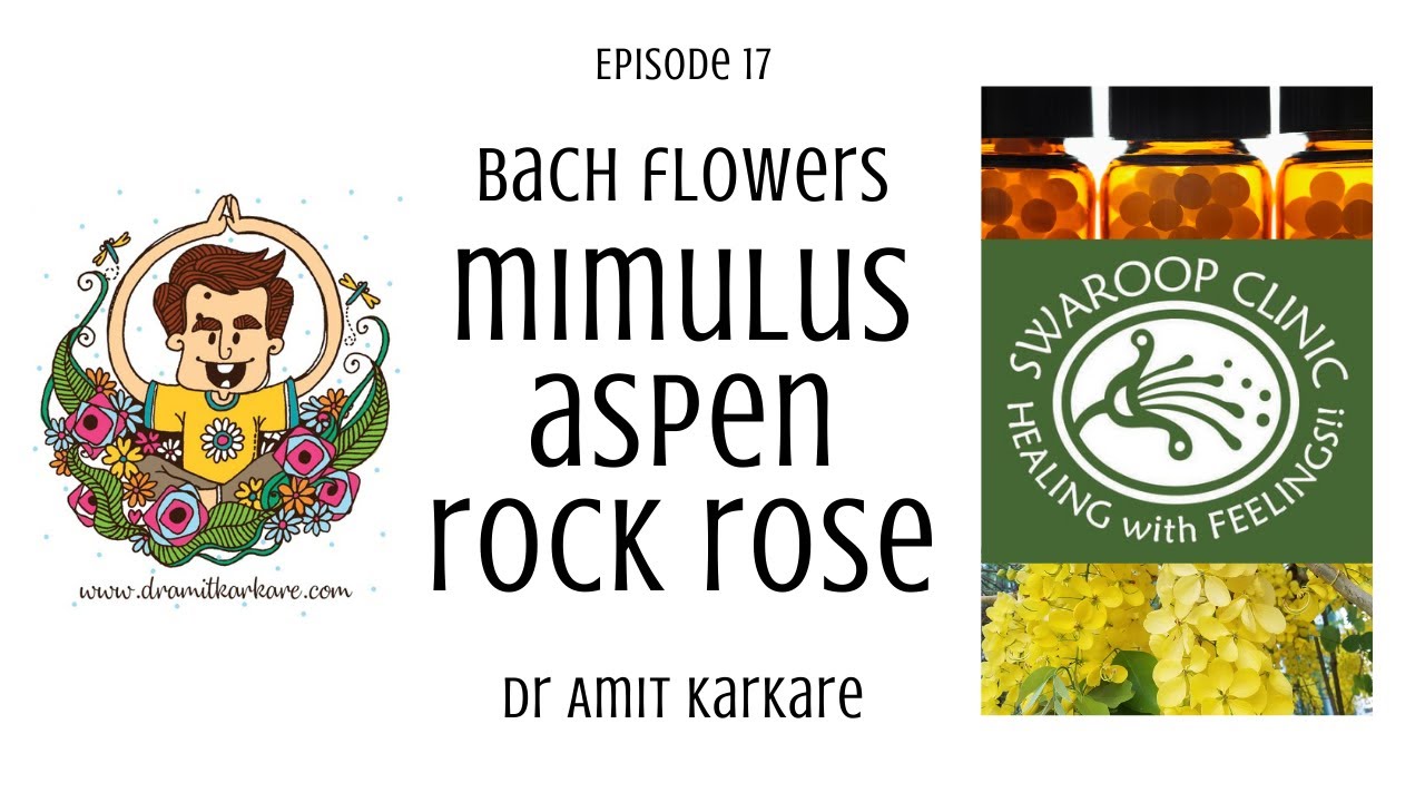 Bach Flowers Episode 17 MIMULUS ASPEN ROCK ROSE YouTube