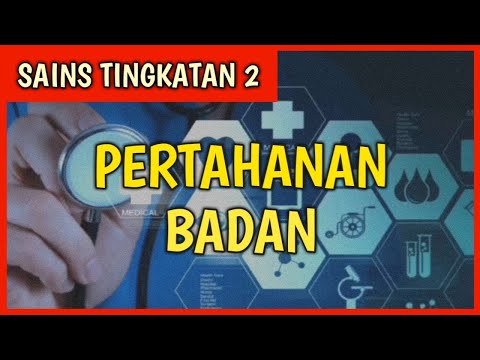 Video: 4 Jenis Bahan Yang Mengurangkan Pertahanan Badan