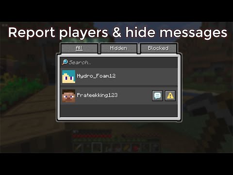How To Report and Hide Messages In Minecraft 1.19.1 #shorts - YouTube