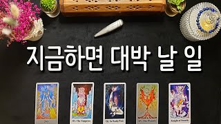 [타로카드] 지금 당장하면 대박날 일!