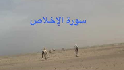 دحيم بن محمد ١٤٤٤هـ سورة الإخلاص