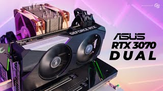 ASUS RTX 3070 DUAL - Windows & Linux Tested - YouTube