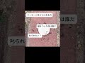 人間がごめんね