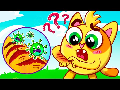 Why Do We Have Scabs Song | Educational Kids Songs 😻🐨🐰🦁 And Nursery Rhymes by Baby Zoo