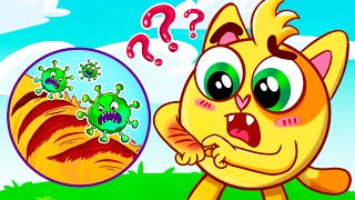 Why Do We Have Scabs Song | Educational Kids Songs 😻🐨🐰🦁 And Nursery Rhymes by Baby Zoo