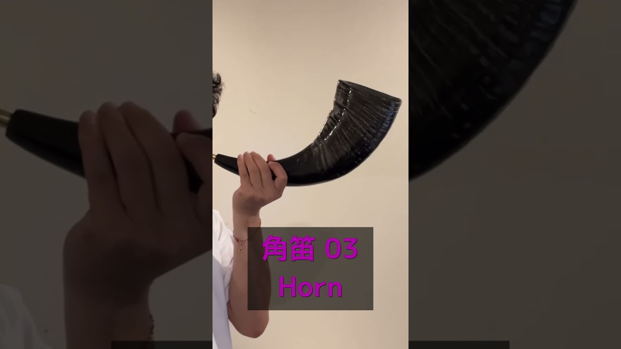 角笛(水牛の角) 43cm 03 / Horn - 世界の楽器 RAGAM