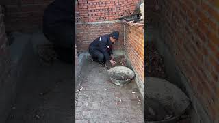 Genius Or Crazy? You Decide