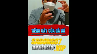 Vũ Kỳ nói về Tiếng Gáy Của Gà Dữ | Sabong67 #sabong67kinhnghiemdaga #kinhnghiemdaga #sabong67 #cpc thumbnail