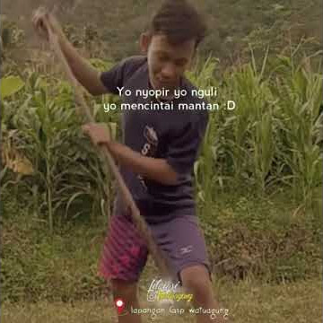 story w.a ( banyu surgo ) viral tiktok terbaru 2020 post akhir tahun